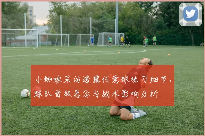 小蜘蛛采访透露任意球练习细节，球队晋级悬念与战术影响分析