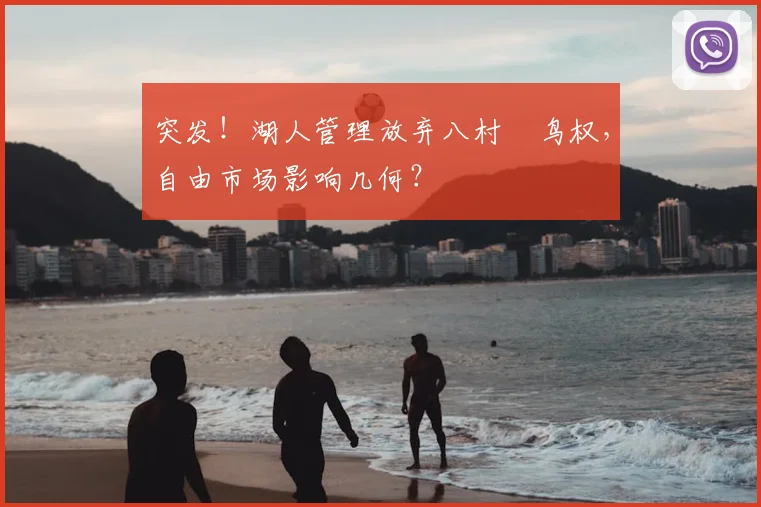 突发！湖人管理放弃八村塁鸟权，自由市场影响几何？