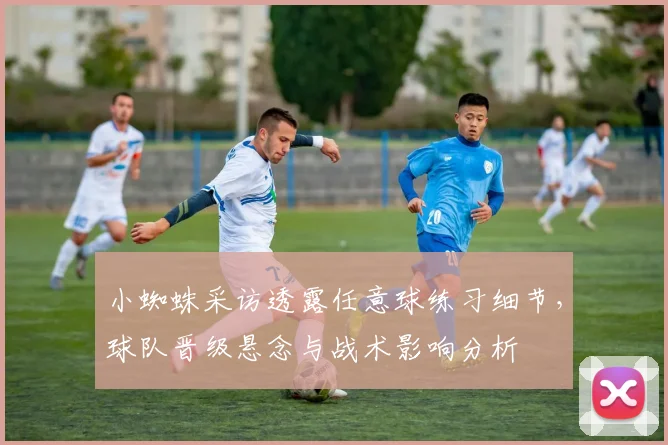 小蜘蛛采访透露任意球练习细节,球队晋级悬念与战术影响分析